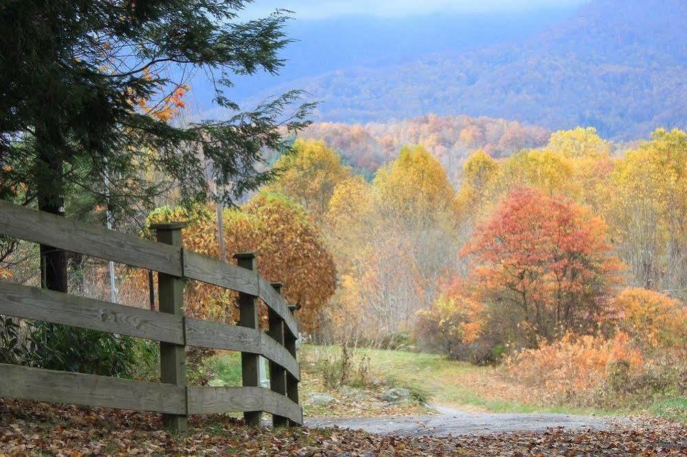 The Yellow House On Plott Creek Waynesville Exterior foto